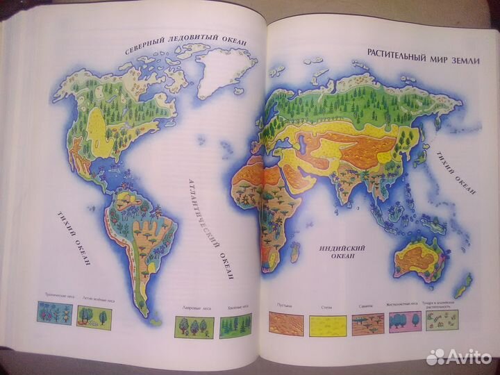 Энциклопедия для детей