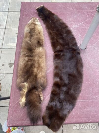 Шкурка животного