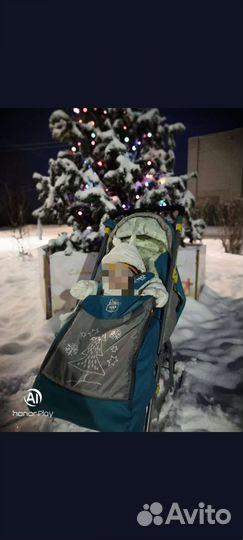 Санки коляска