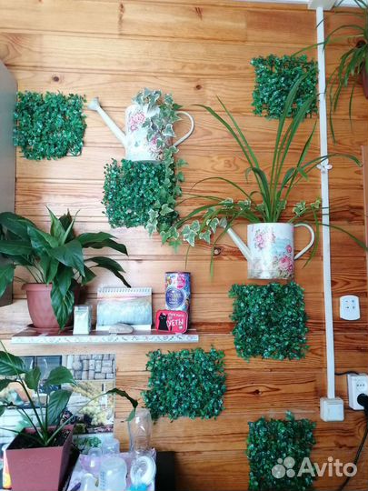 Декоративая зелень