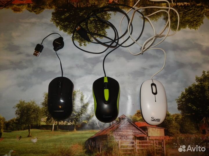 Компьютерная мышка