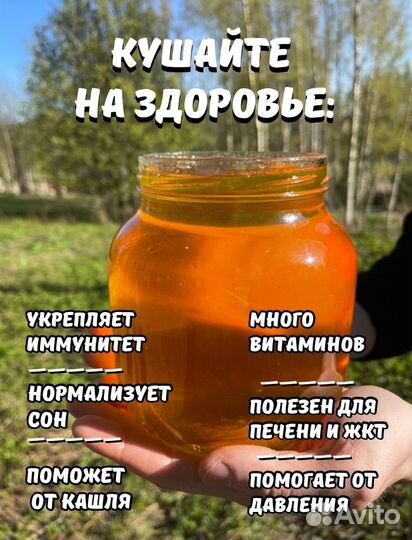 Одуванчиковый мед 2024