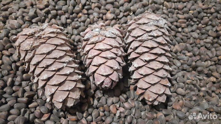 Набор для творчества 