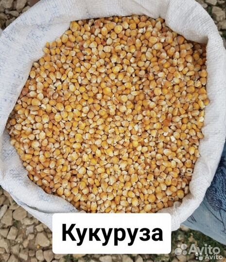 Зерносмеси, пшеница, кукуруза, просо, ячмень