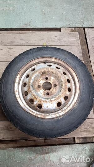 КАМА Alga (HK-531) 175/65 R14