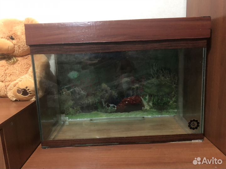 Аквариум