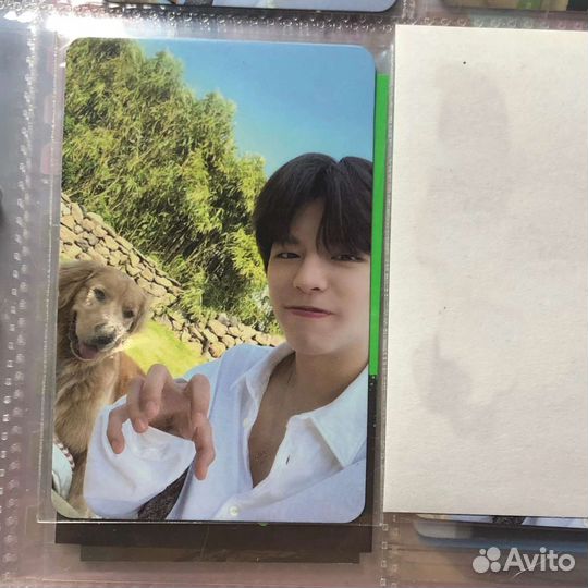 Предзаказная карта stay in stay jeju сынмин