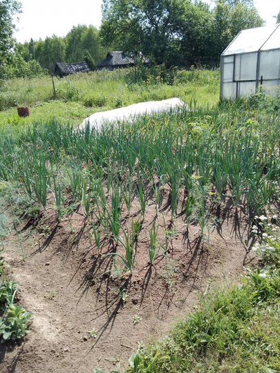 Дом 31,6 м² на участке 10 сот.