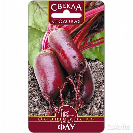 Свекла Фау столовая