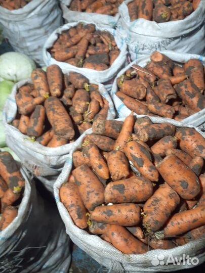 Морковь для животных