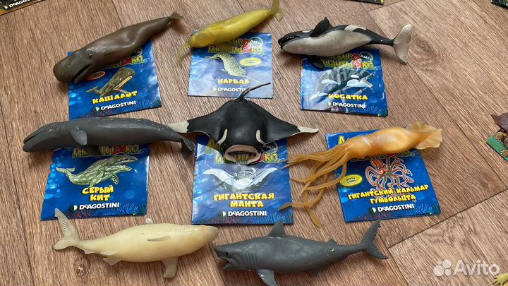 Животные deagostini