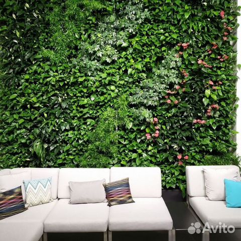 Фитостена, вертикальное озеленение Нижний Новгород