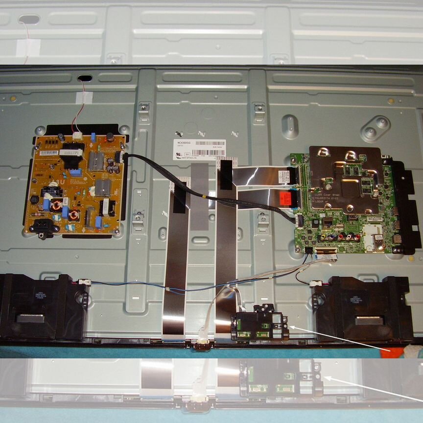 Семіз қара транни