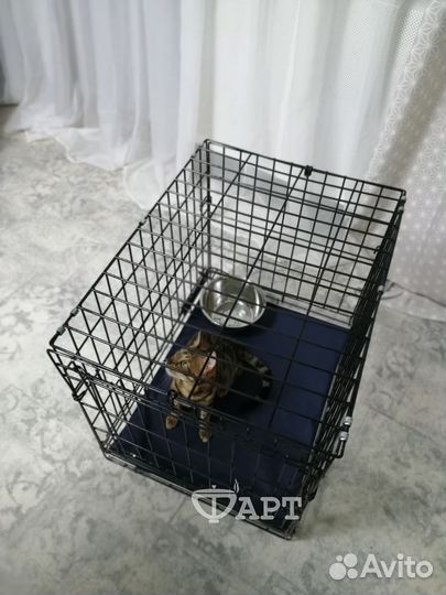 Клетка для животных