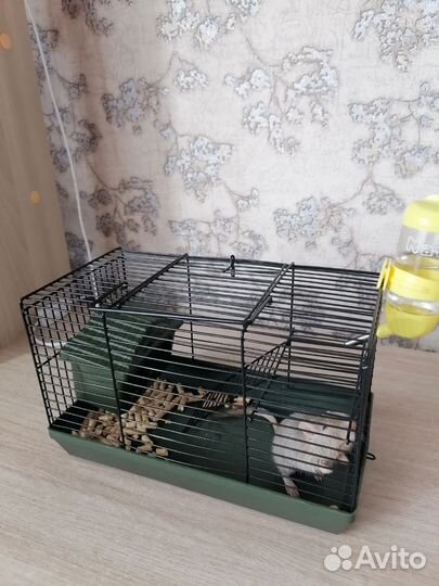 Клетка для мелких грузунов