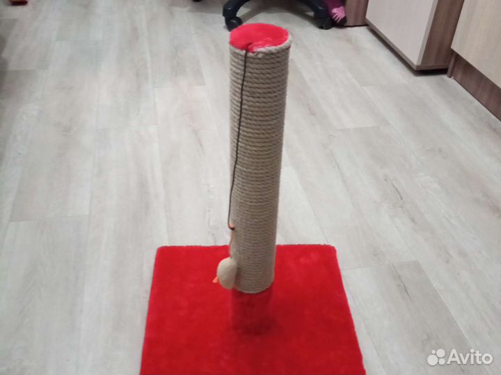 Когтеточка для кошек