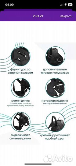 Шлейка для собаки