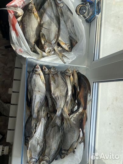 Лещ свежемороженый, вяленая плотва