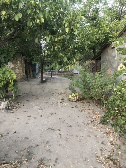 Дом 49,1 м² на участке 55,4 сот.