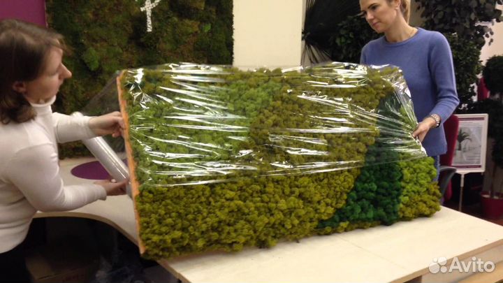 Панели мха. Стабилизированный мох