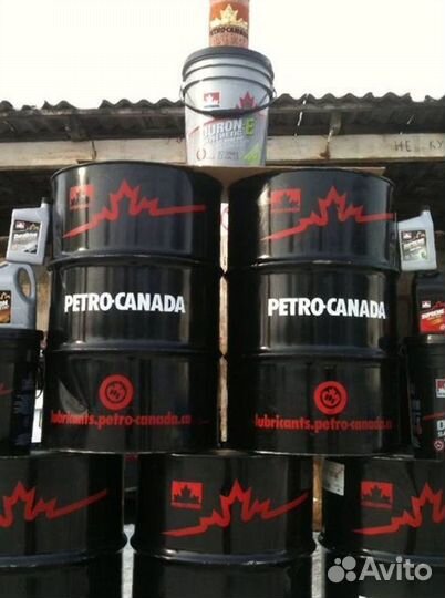 Моторное масло petro-canada 10w30