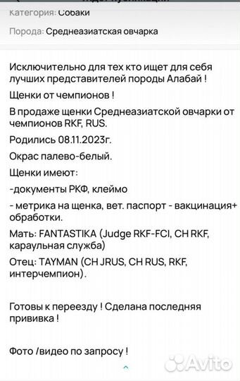 Щенки алабая