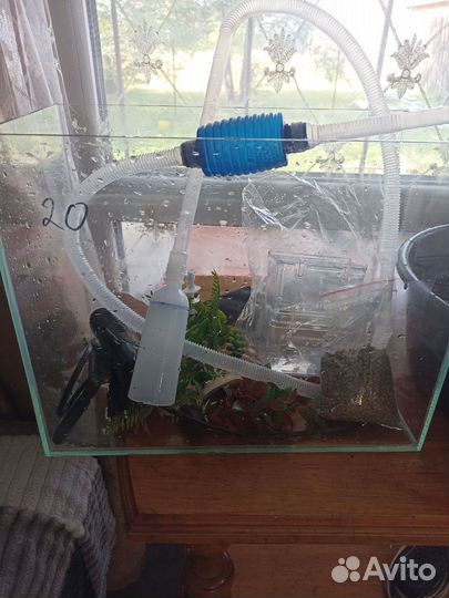 Аквариум