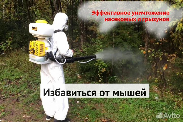 Уничтожение клопов тараканов лечение растений