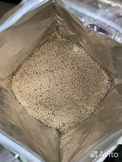 Амарант зеленый 2.2 кг