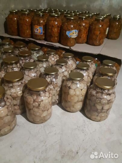 Грибы соленые грузди,рыжики,маслята,сухие белые