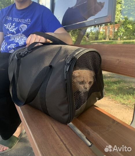 Переноска для животных