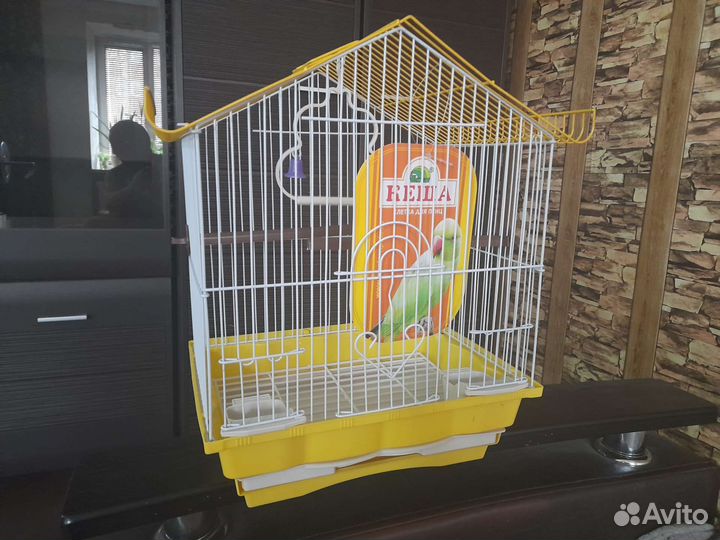 Клетка новая