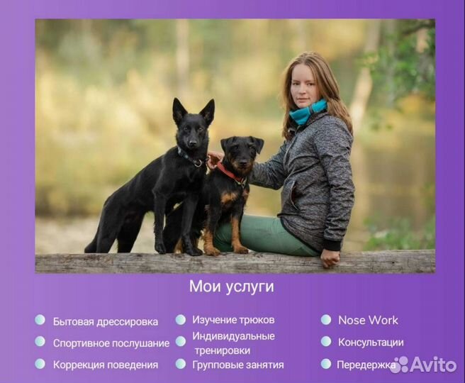 Кинолог, инструктор по дрессировке