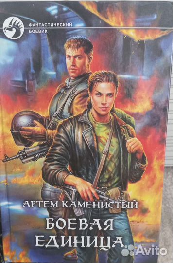 Артем Каменистый 