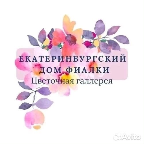 Выставка-продажа фиалок и др. конмнатных растений