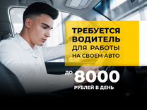 Водитель Яндекс на личном авто