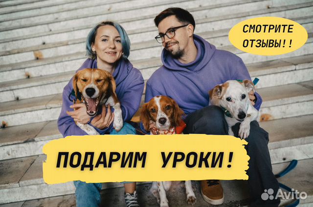 Дрессировка собак Кинолог Подарим уроки