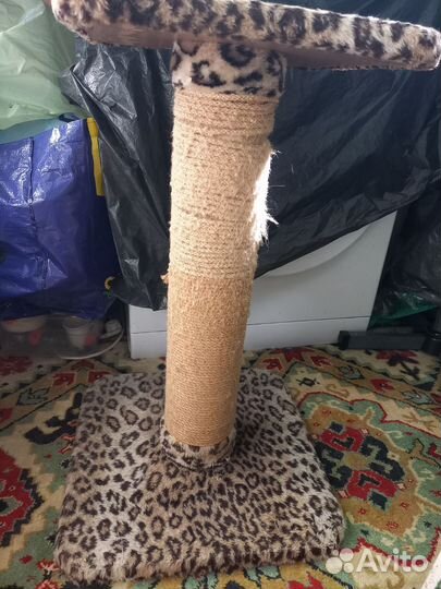 Когтеточка