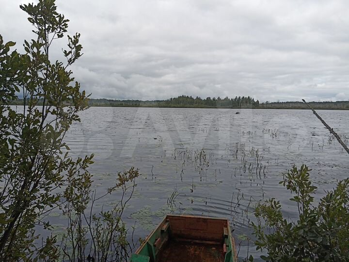 Участок 3,7 га (ИЖС)