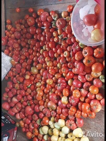 Помироды и огурцы