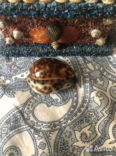 Шкатулка из раковин и кораллов