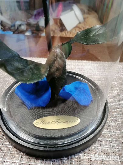 Роза в колбе