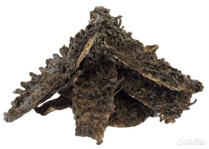 Сушёные лакомства для собак