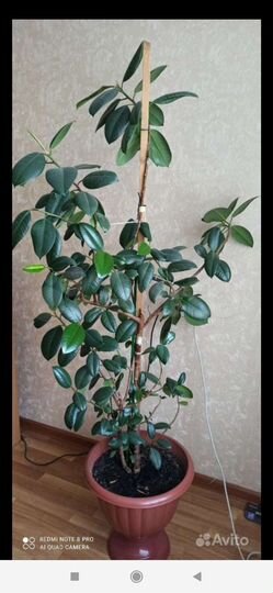 2-к. квартира, 4500 м², 1/5 эт.