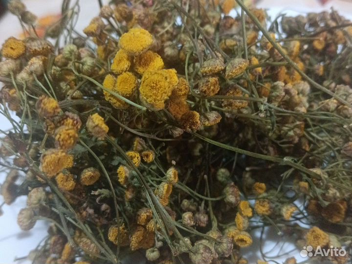 Целебные травы Пижма