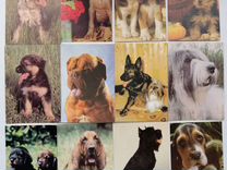 Календарики из 90х. Собаки