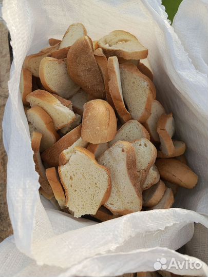 Хлеб на корм животным