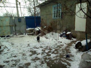 Комната 14 м² в 3-к., 1/1 эт.