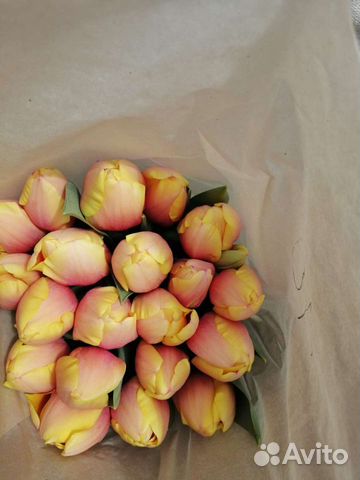 Тюльпаны объявление продам