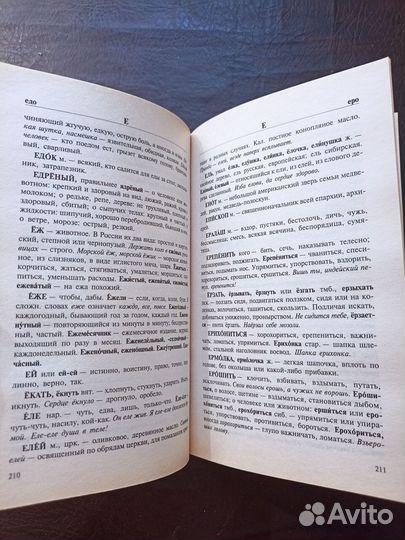 Толковый словарь русского языка 2010г. Р1